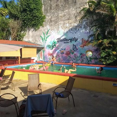 Butterfly Hostel Puerto Iguazú Eksteriør bilde