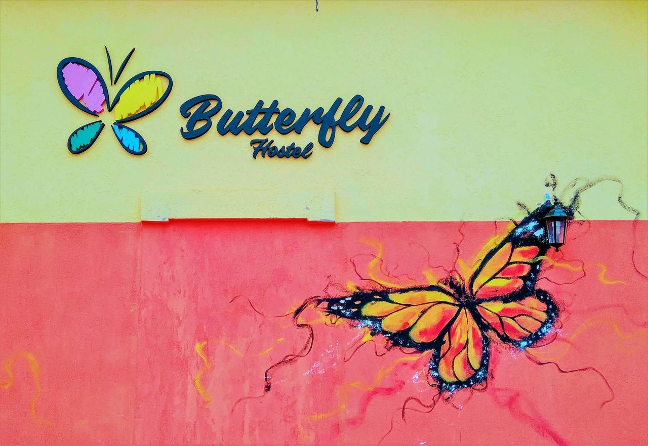Butterfly Hostel Puerto Iguazú Eksteriør bilde