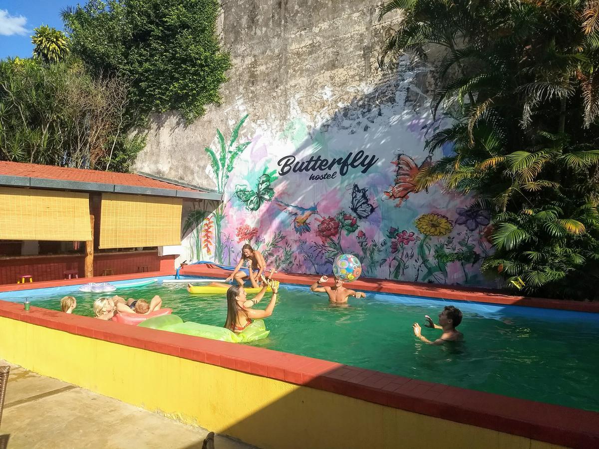 Butterfly Hostel Puerto Iguazú Eksteriør bilde